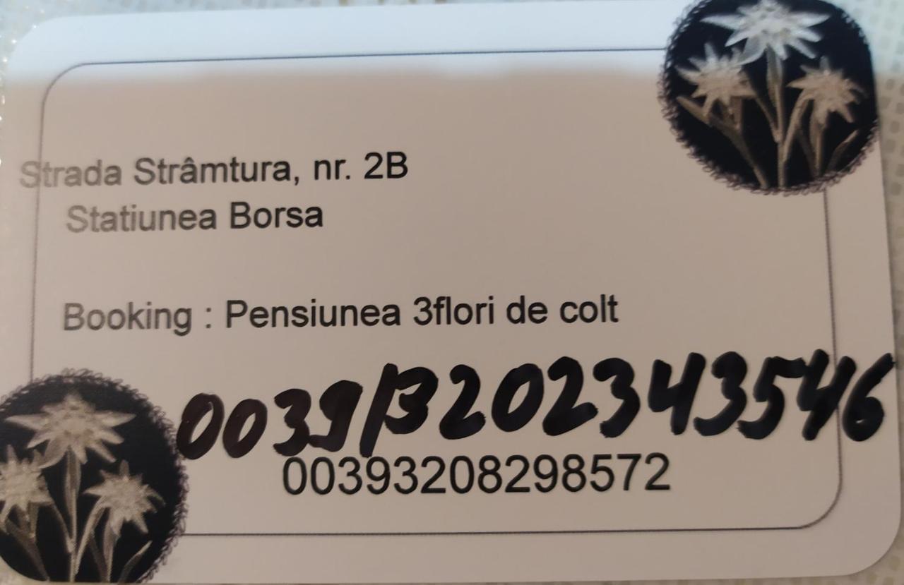 Pensiunea 3Flori De Colt 호텔 Statiunea 외부 사진